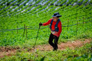 BIB: 
                            <button type="button" onclick="openModal(19164711)" class="btn btn-primary btn-sm float-right btn-popup" data-toggle="modal" data-target=".modal-high-quality">
                        <i class="fas fa-shopping-cart"></i> Add to Cart
                    </button>
                                            <button type="button" onclick="isThisMe(19164711, true)" class="btn btn-success btn-sm float-right btn-popup btn-isme hidden" data-toggle="tooltip" data-placement="bottom" title="นี่คือรูปของคุณใช่ไหม คลิกที่นี่เพื่อเอาเข้าอัลบั้ม">
                        <i class="fas fa-plus"></i> Add to album
                    </button>
                    <button type="button" onclick="isThisMe(19164711, false)" class="btn btn-warning btn-sm float-right btn-popup btn-isnotme hidden">
                        <i class="fas fa-ban"></i> Remove from album
                    </button>